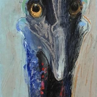  Cassowary 21,5x120 h/c